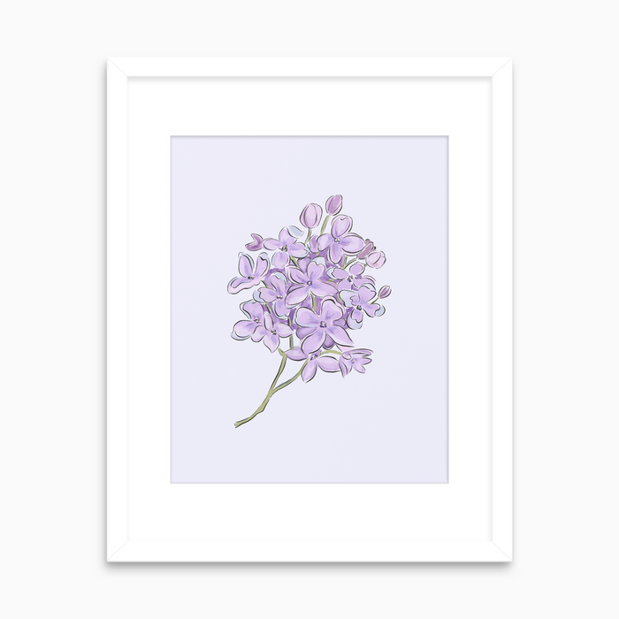 Lilac - Art Print