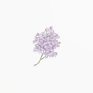 Lilac - Clear Vinyl Sticker