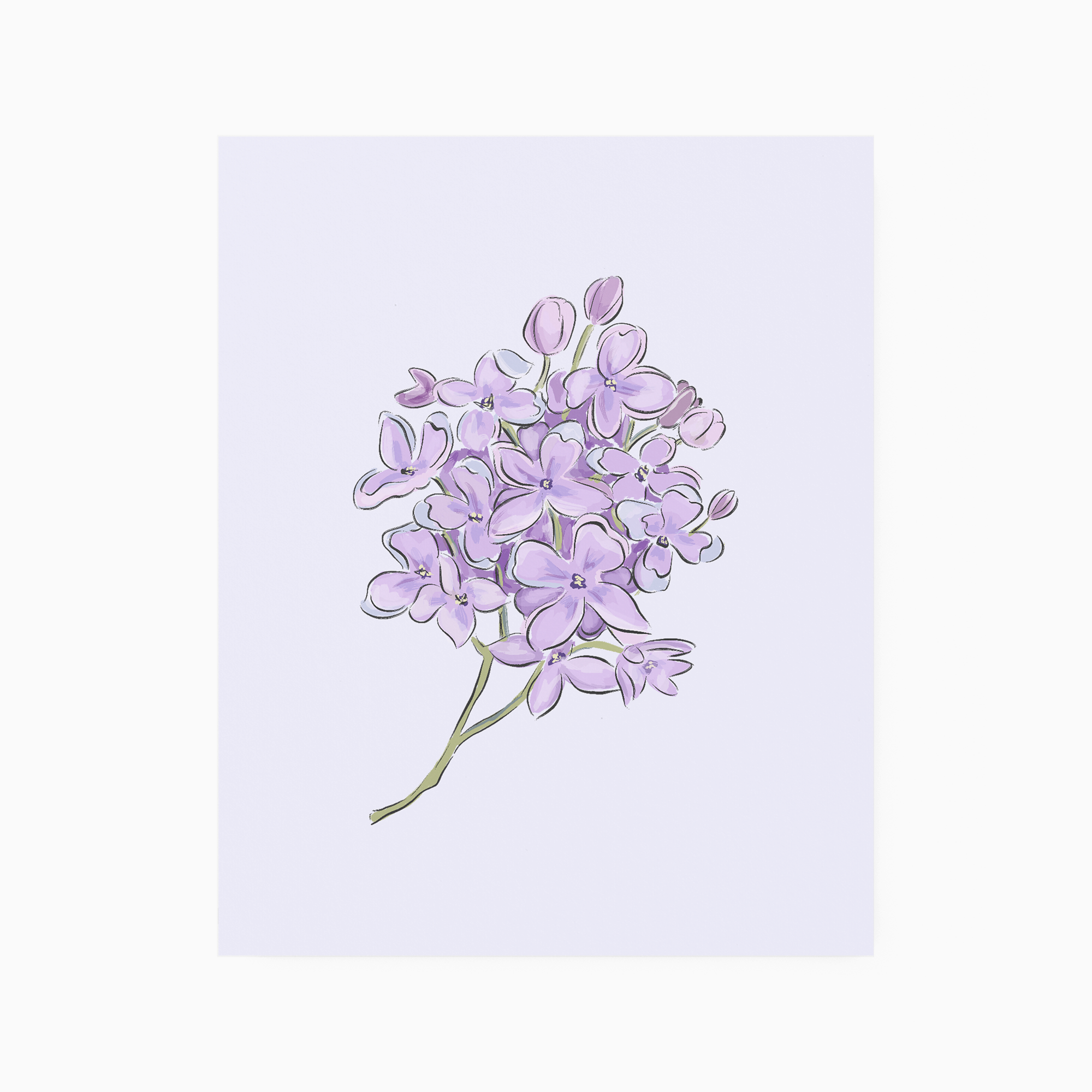 Lilac - Art Print – White Deer Stationery