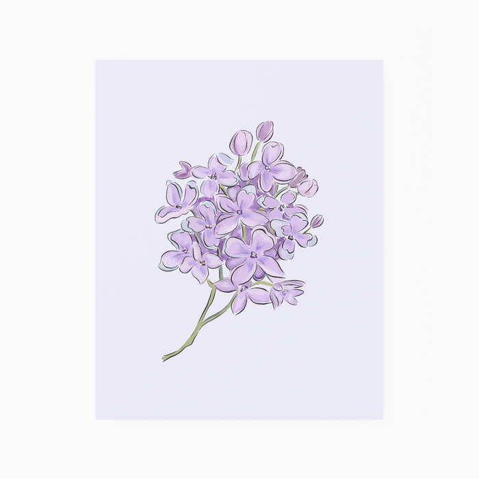 Lilac - Art Print