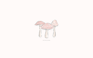 Free Mushrooms Wallpaper Download