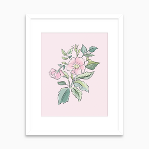 Wild Rose - Art Print