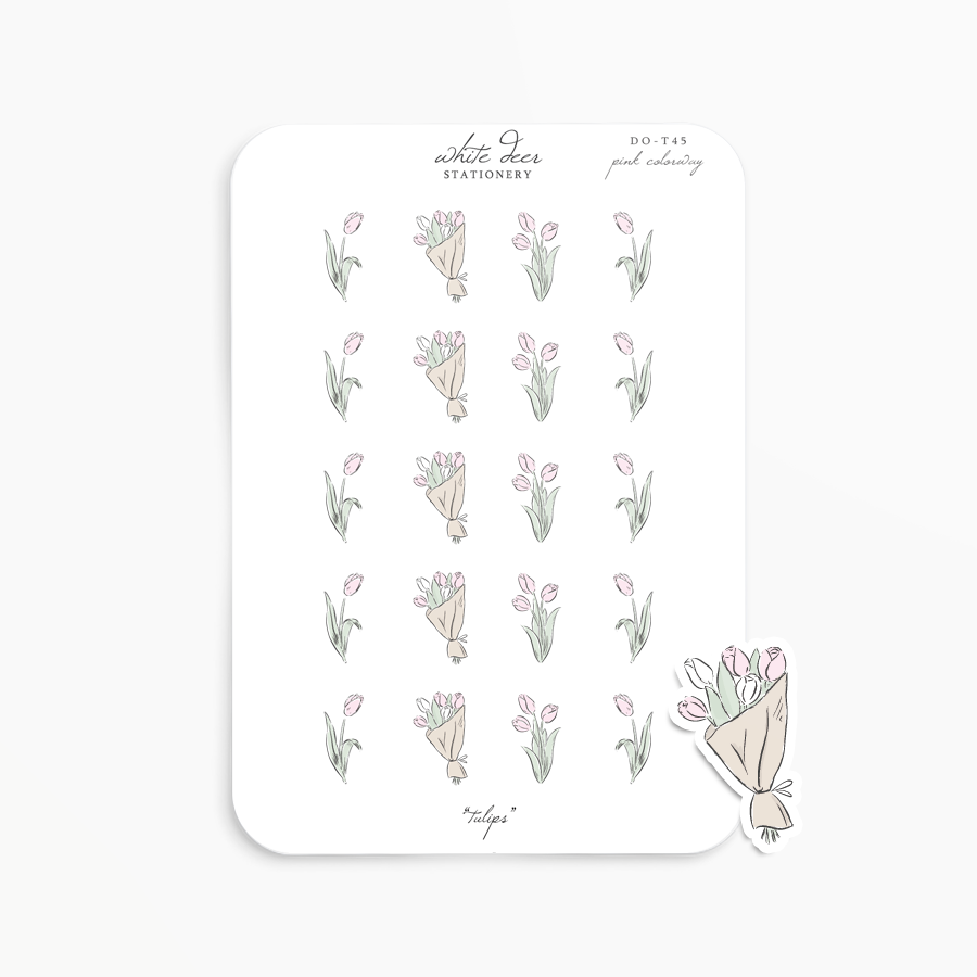Tulips - Pink Colorway Doodles